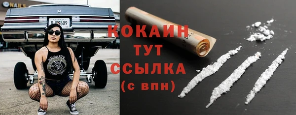 крисы Абаза