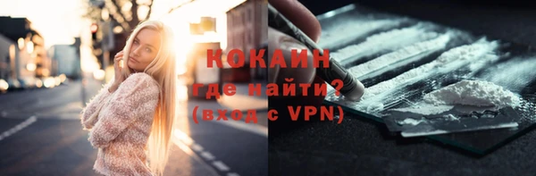 крисы Абаза