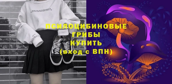 крисы Абаза