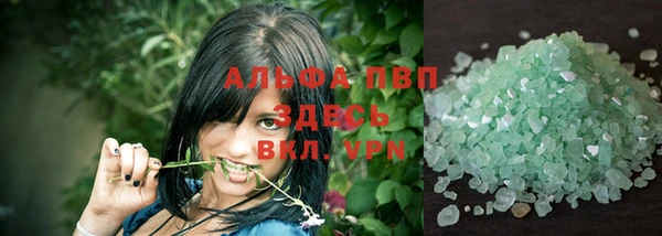 крисы Абаза