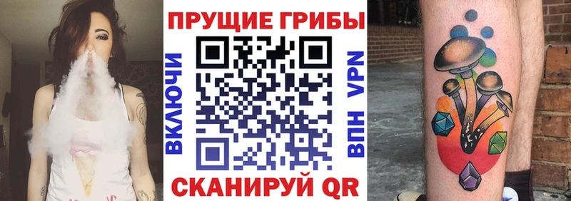 закладка  Екатеринбург  blacksprut как войти  Галлюциногенные грибы прущие грибы 