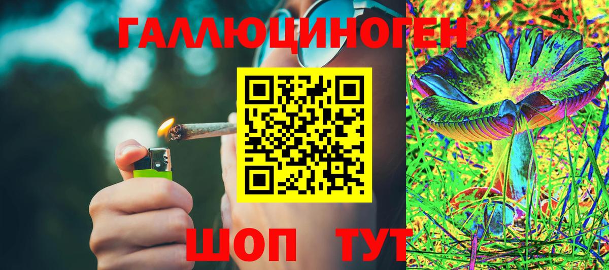 Псилоцибиновые грибы GOLDEN TEACHER Екатеринбург