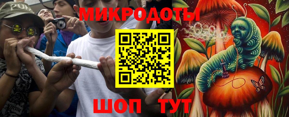 Псилоцибиновые грибы GOLDEN TEACHER  Вход с VPN  где найти наркотики  Екатеринбург 